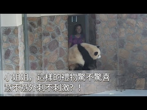 《熊貓早晚安》小姐姐，這樣的禮物驚不驚喜意不意外刺不刺激？！ | iPanda
