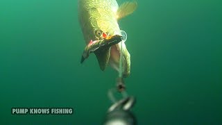 Westin Percy the Perch - Pike Fishing Waterwolf Underwater Footage - 2017