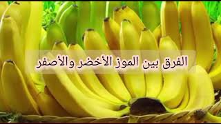 الفرق بين فوائد الموز الأخضر والموز الأصفر