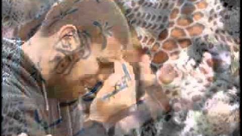 سورة النازعات للشيخ سيد ابو خطوة 2010 _ روووعة