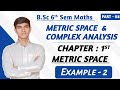 Metric Space Example 2 | Lec-8 | B.Sc Real Analysis (Hindi)
