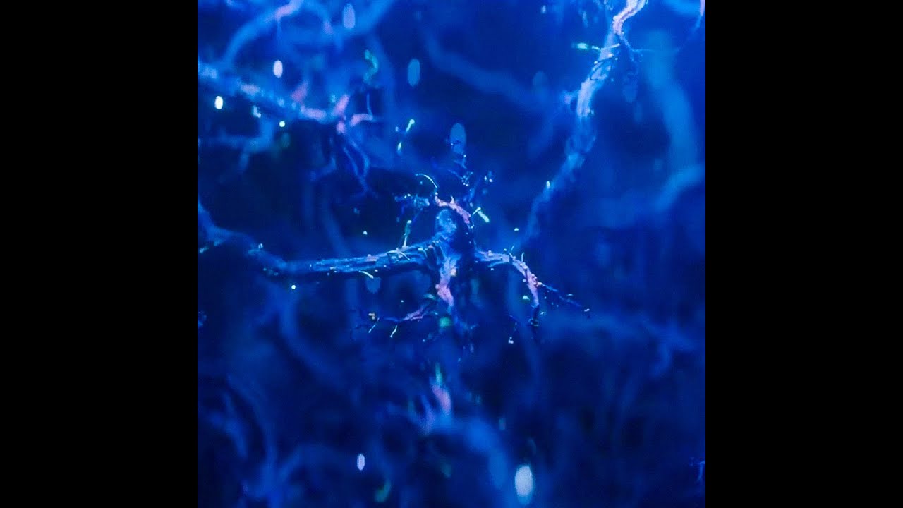 free-lancey-foux-redda-lovemusic-type-beat-kilometer-youtube