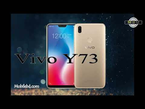 vivo y73 phone price