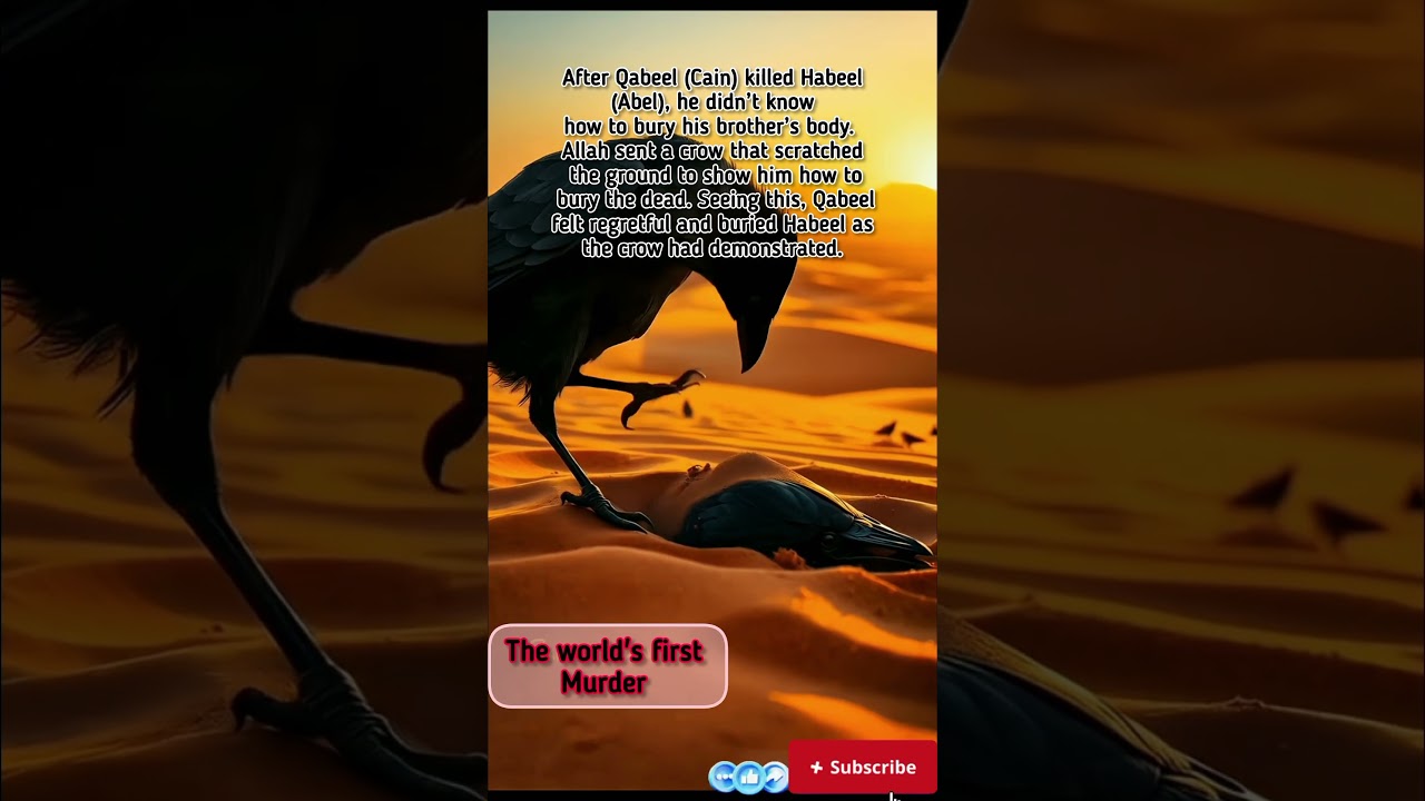 Who's First Murdered ? A lesson from the QURAN