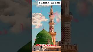 Ajmal Raza Qadari بڑی خوبصورت حدیث ہے سنیے گآ #islamicbayan#islamicpost#islamicvideos#bayan#duet#kk