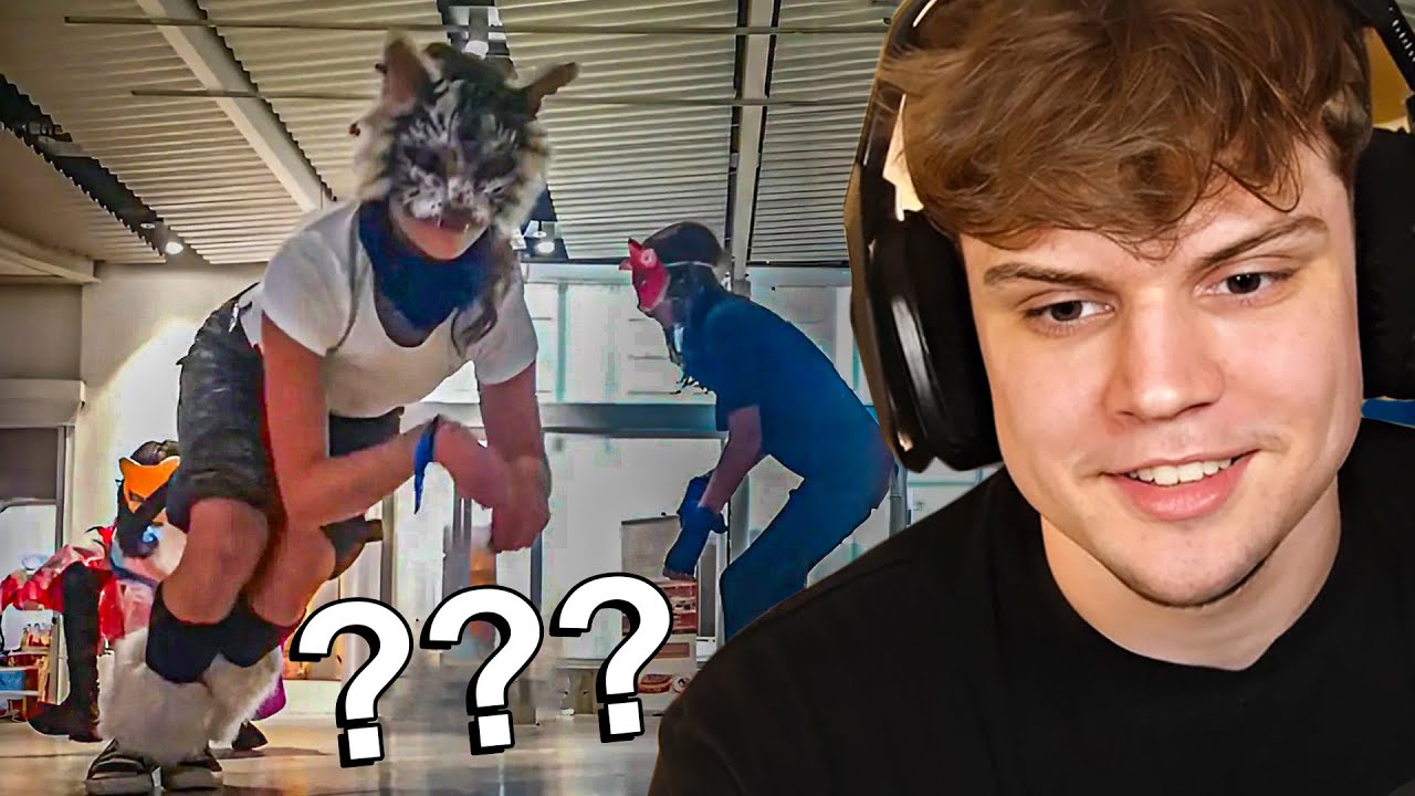 a vida dos JOVENS que se identificam como CACHORROS