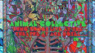 Animal Collective - Kids On Holiday - Live (Official Audio)