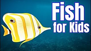 Fish for Kids