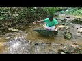 el río donde viven los peces guppy y los camarones más raros