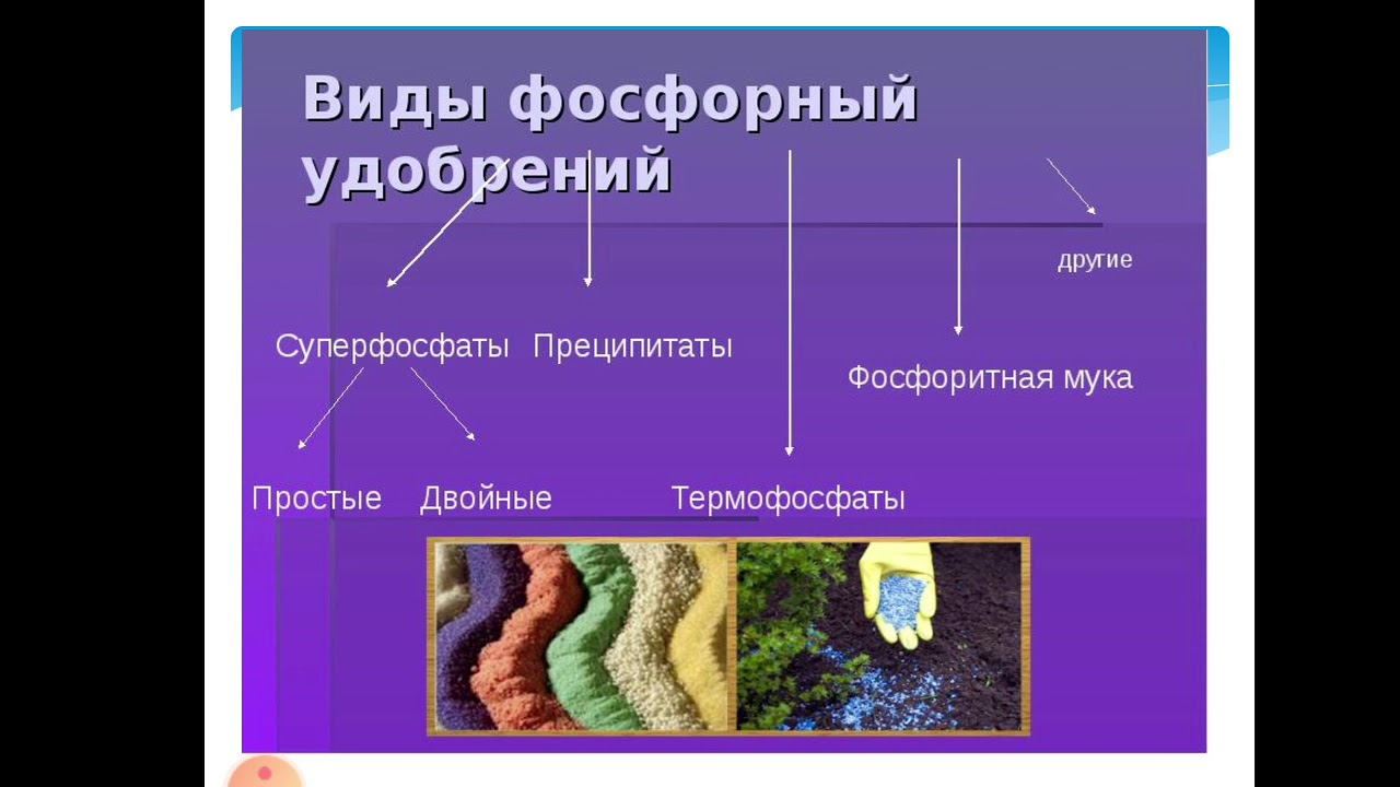 Подкормка растений фосфором. Формы фосфорных удобрений. Использование фосфорных удобрений. Водорастворимые фосфорные удобрения. Виды фосфорных удобрений суперфосфат.