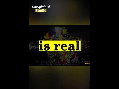 Real-Life Stories of