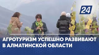 Агротуризм успешно развивают в Алматинской области