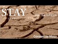 【COVER】STAY/コブクロ covered by Masa #004(Retake)【6月はコブクロさんを歌いたい】