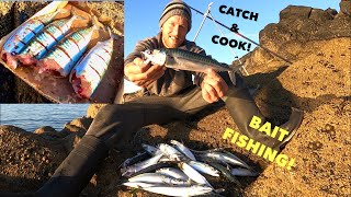 MACKEREL Catch Clean Cook , SHORE FISHING From the Rocks