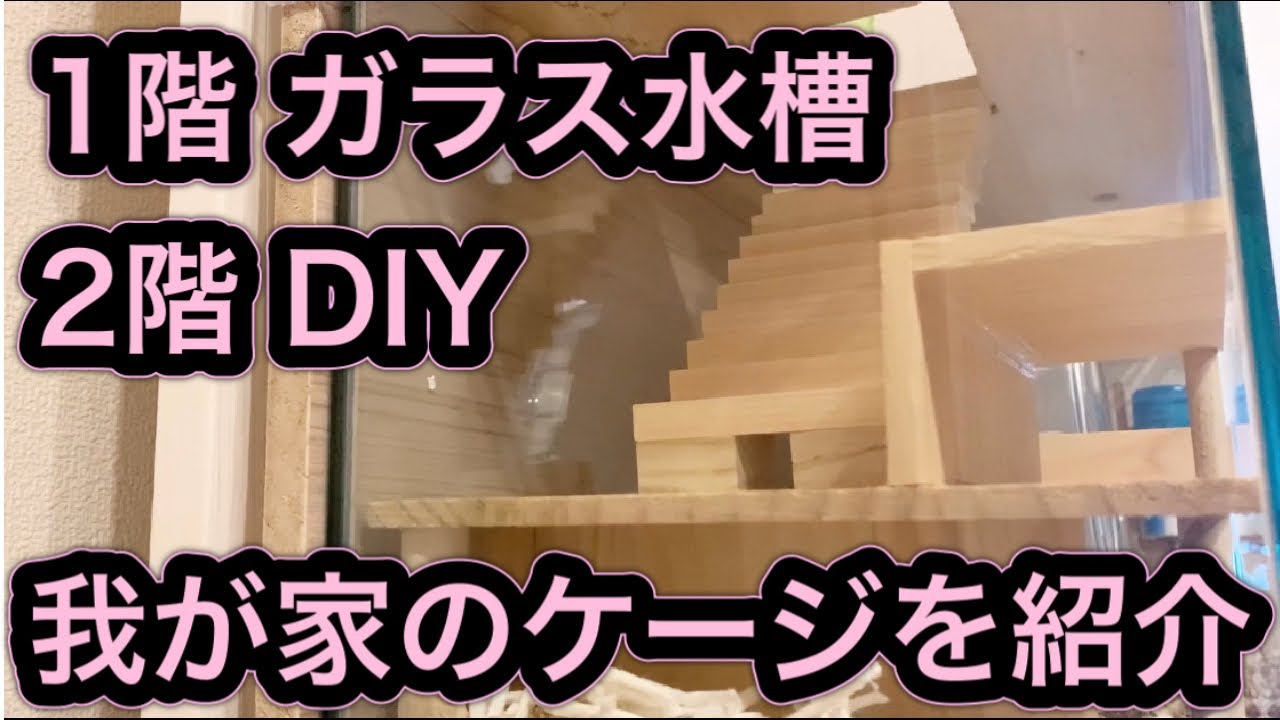 ハムちゃん大喜び ハムスターケージの手作り方法5選 おしゃれレイアウト実例も Kurashi No