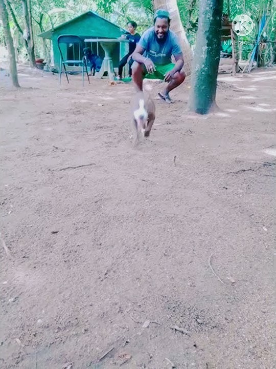 🐶🐕❤Shelina baby❤🐶🐕