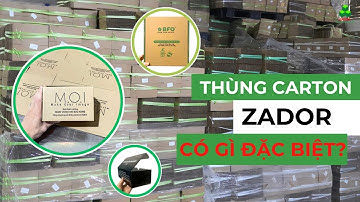 THÙNG CARTON ZADOR CÓ GÌ ĐẶC BIỆT?