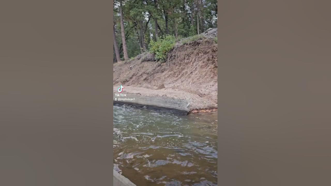 trout fishing in twain harte california.using wax worm on main tuolumne