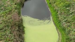 Shingletown wetland, the exposed aquafer drone footage August 2025