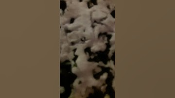 Snow is here Art goes On❤️ Worldyman🌍Transer Magazine Withinternet of Peace #WOP