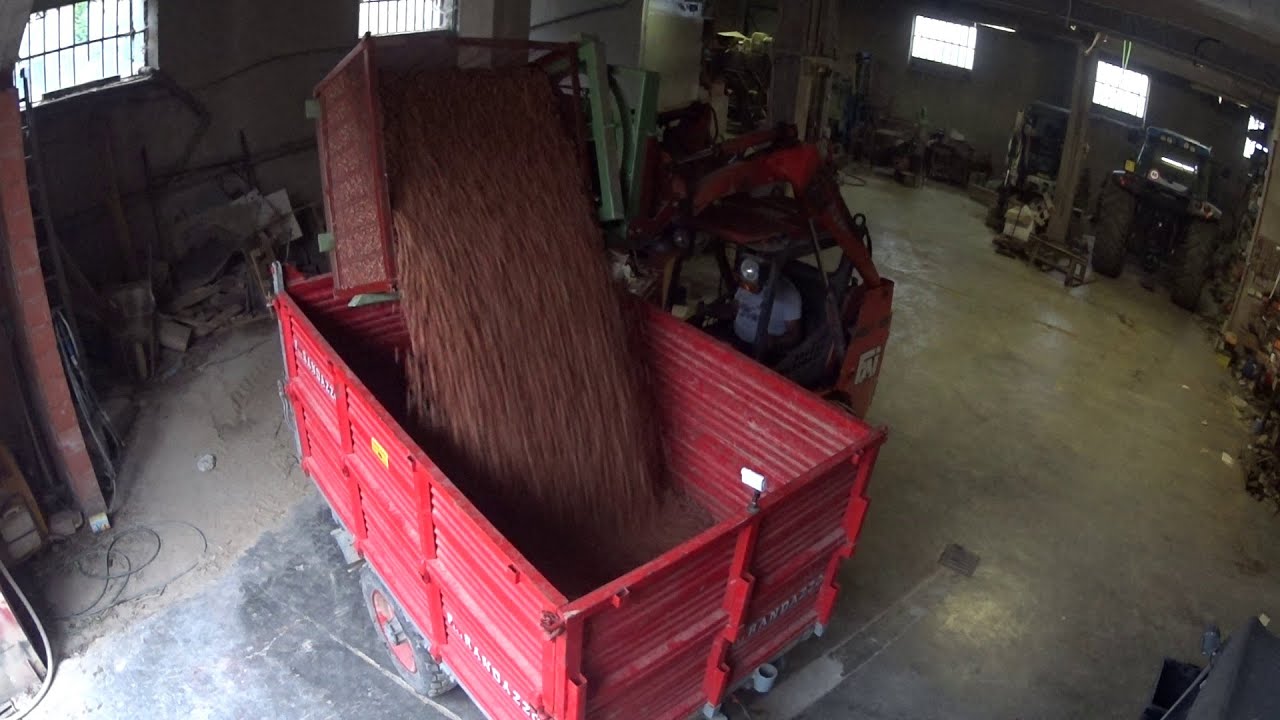 collaudo ribaltatore girabins , svuotamento nocciole