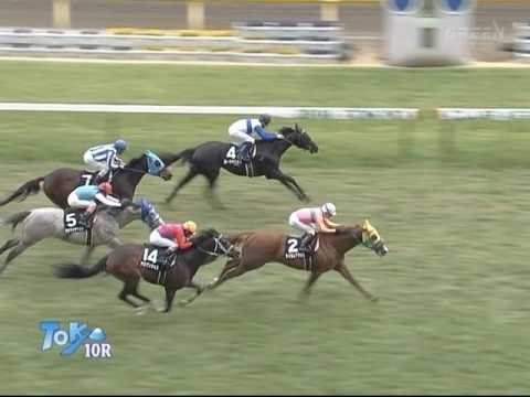 2010年2月14日 雲雀S テイエムアタック