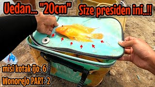 Download Lagu DAPAT NAHOL PRESIDEN ‼️ TRIP WADUK WONOREJO MISI KOTAK IJO || mancing ikan red devil NAHOL MANIA MP3 Download Lagu DAPAT NAHOL PRESIDEN ‼️ TRIP WADUK WONOREJO MISI KOTAK IJO || mancing ikan red devil NAHOL MANIA MP3