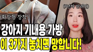 강아지 기내용 가방 선택할 때 반드시 고려해야 할 3가지 기준!