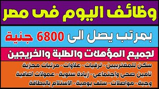 10 وظائف خالية فى مصر براتب يصل الى 6800 جنية للطلبة والخريجين - وظيفتك تهمنا