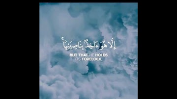 سورة هود 🕋الاية 56