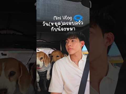 พาน้องหมาว่ายน้ำ 🏊‍♂️