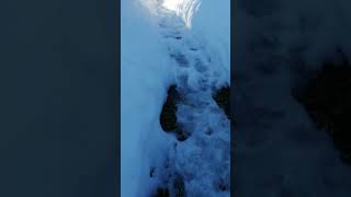 Большой снег долго и лежит)) #snow #лесной #обзордачи