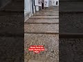 Chuva Intensa em Portugal: Semelhança com uma Cachoeira