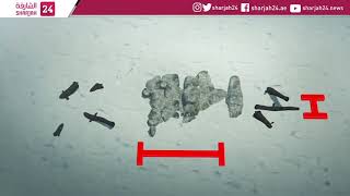 Archaeologists discover 400-year-old shipwreck