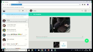 Automate sending whatsapp message from excel VBA