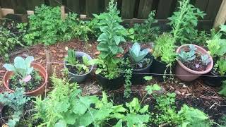 Aerating Garden Soil How And Why