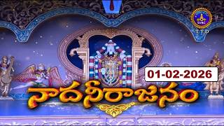 Nadaneerajanam || Violin || Sri.Nagai R. Muralidharan || Chennai || 01-02-2026 || SVBC TTD