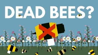 What Would Happen To You If All The Bees Die?