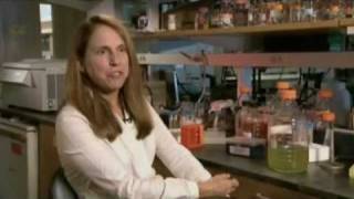 DIYbio on the News Hour