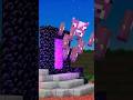 ネザーゲート🟪NETHER PORTAL ILLUSION🥛Minecraft Animation