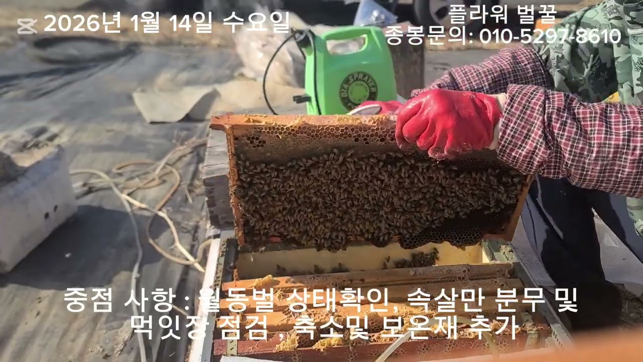 (재)26년 1월14일 수요일 첫봄벌 깨움