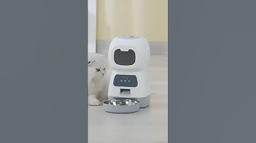 Automatic Pet Feeder (WiFi Version)#shorts #pets