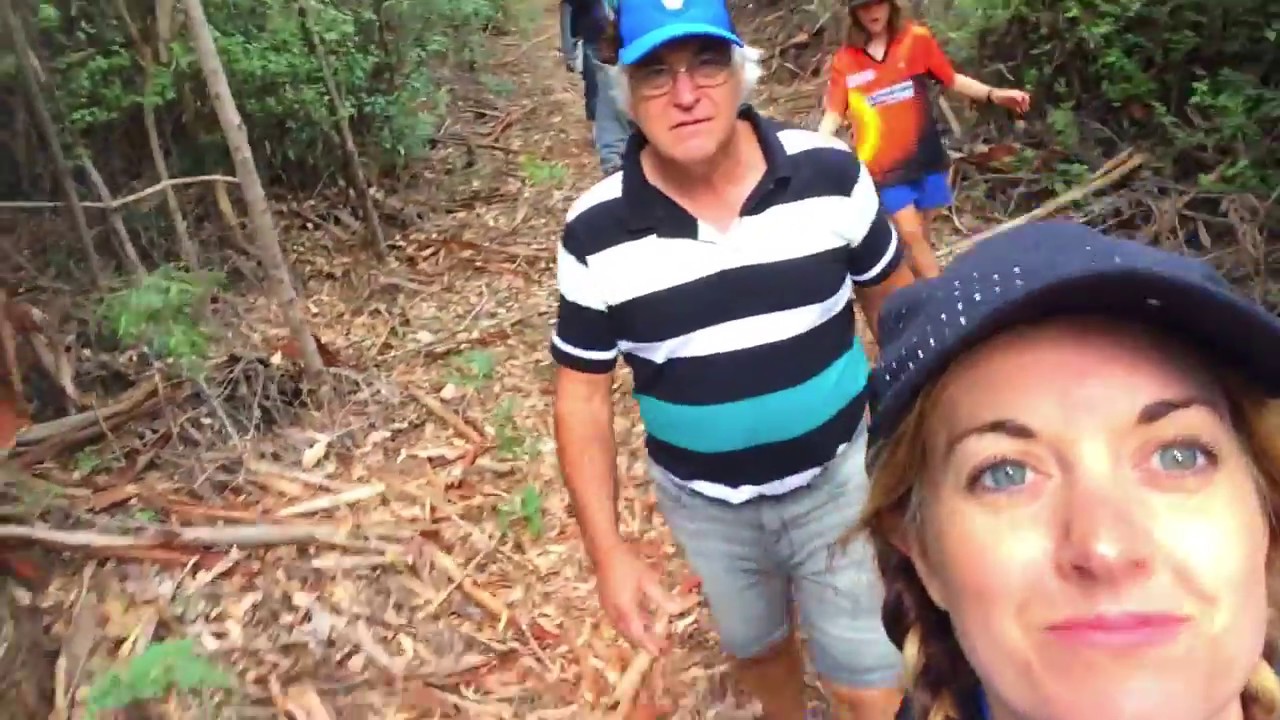 Keenans in the Karri trees