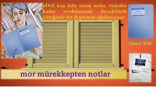 Ki̇tap Öneri̇si̇ Ahmet Telli/Hüznün İsyan Olur