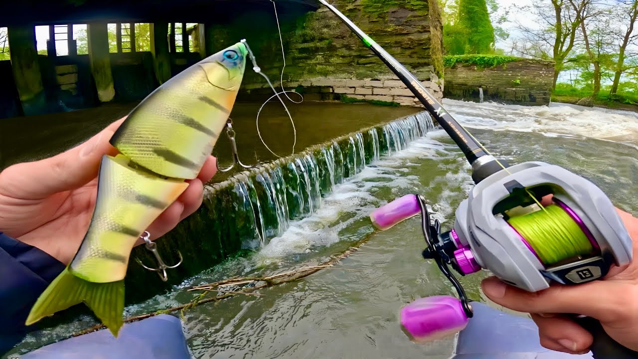 Je ne m’attendais pas à ça en pêchant ces endroits inaccessibles !! (Pêche au leurre)