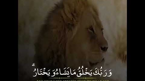 وَرَبُّكَ يَخْلُقُ مَا يَشَاءُ وَيَخْتَارُ ۗ مَا كَانَ لَهُمُ الْخِيَرَةُ(68)  سورة القصص