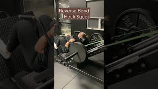 Reverse Band Hack Squat