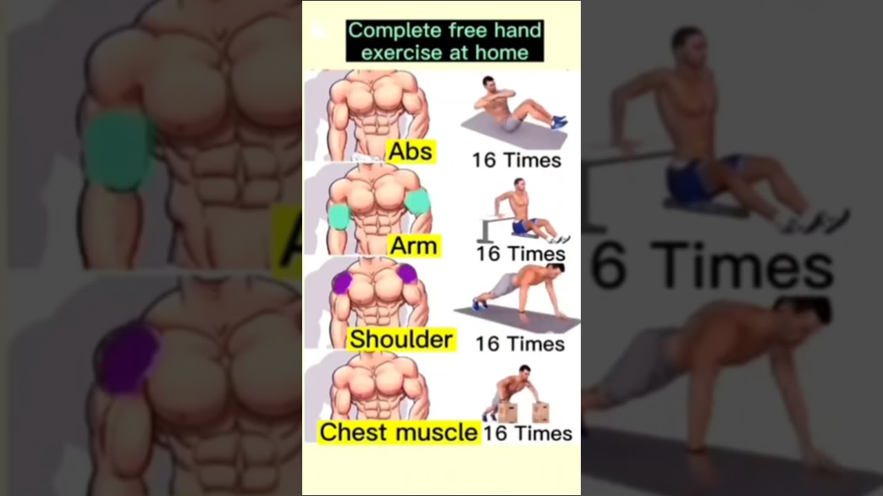 Best Complete free hand exercise at home 