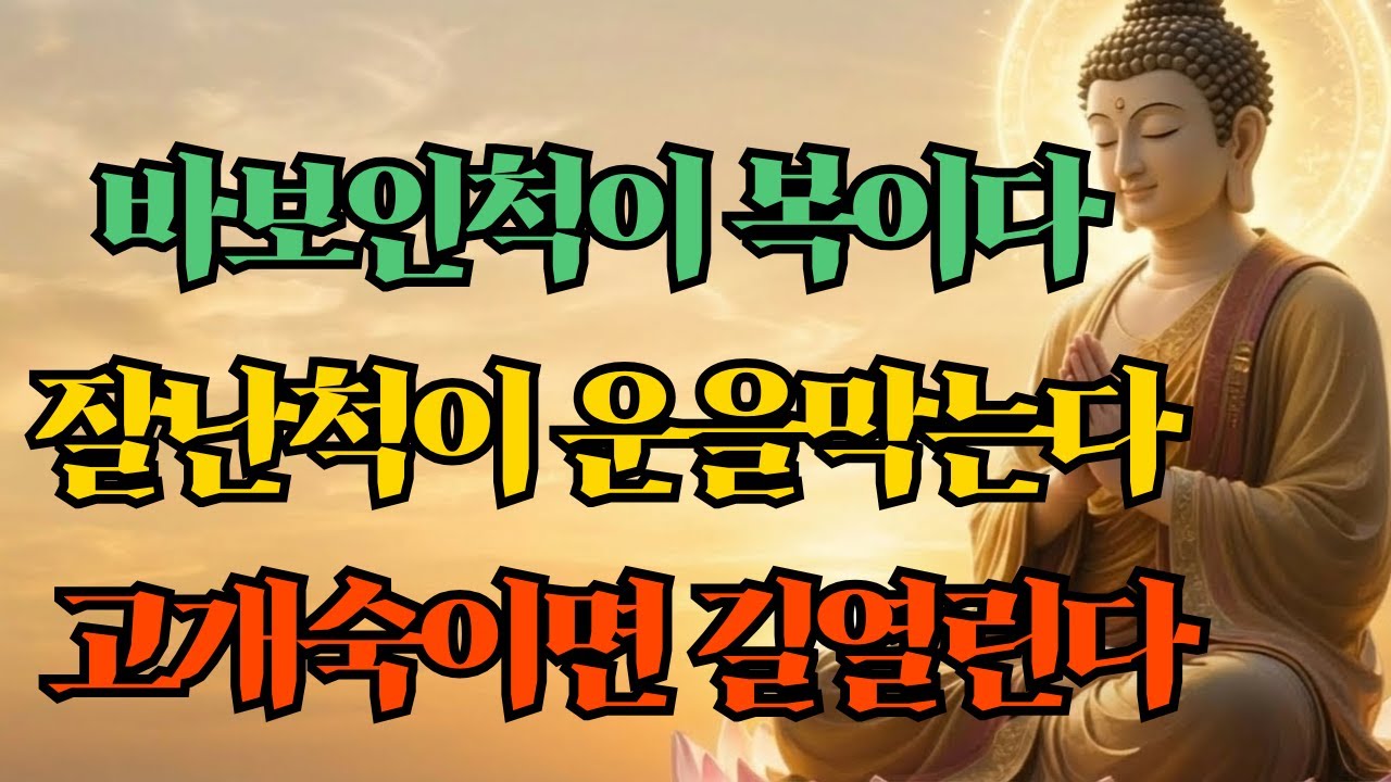 똑똑한 척할수록 운이 막힌다: 불교가 말하는 ‘겸손’과 바보의 지혜