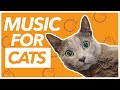 Firework Noise Anxiety Music - ANTI ANXIETY SONGS FOR CATS